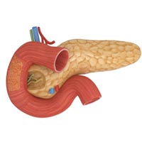Затверджено клінічний протокол медичної допомоги хворим на хронічний панкреатит