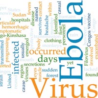 Вспышка болезни, вызванной вирусом Эбола, объявлена в 8 странах