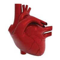 Ученые научились «штопать» поврежденное сердце при помощи стволовых клеток