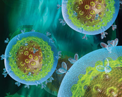 Открыта возможная альтернатива антибиотикам