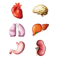 Дефицит витамина D у беременной может «откликнуться» мультисистемной патологией ее ребенку