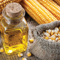 Кукурузное масло эффективно для профилактики сердечно-сосудистых заболеваний