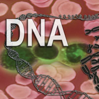 Высокий уровень тревоги способствует ускоренному старению организма