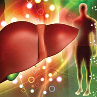 Алкоголь и ожирение повышают риск развития рака печени