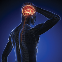 Изменения кальциевых каналов в нервных волокнах способствуют развитию нейродегенеративных заболеваний