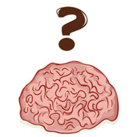 Где в головном мозгу хранятся убеждения?