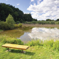 Чем опасен недостаток солнечного света?