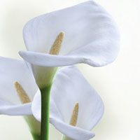 Раскрыта еще одна женская тайна