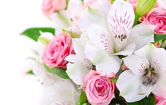 З Днем медичного працівника!