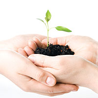 Глобальное потепление может перечеркнуть достижения медицины за последние 50лет