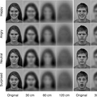 Что может видеть новорожденный?