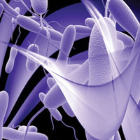 Биотехнологии на смену антибиотикам