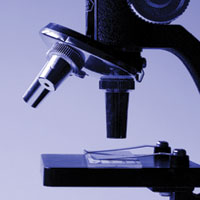 Разработан новый сверхчувствительный метод для идентификации патогена