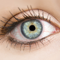 Микрофлора кишечника участвует в развитии тяжелых аутоиммунных заболеваний глаз