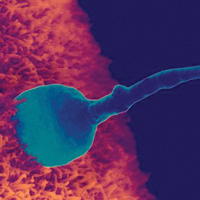 Как зарождается жизнь: новые открытия вечного вопроса