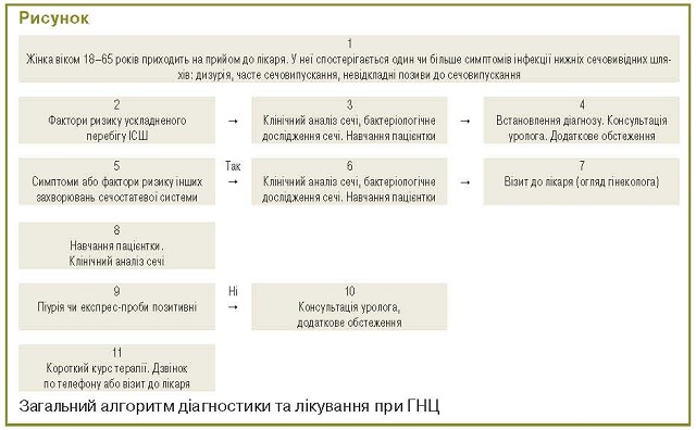 Алгоритм дії лікаря при наданні медичної допомоги хворим на гострий неускладнений цистит жінкам