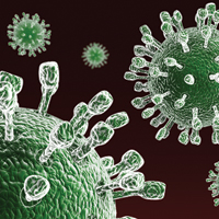 Ученые доказали, что яд осы способен уничтожать раковые клетки