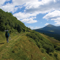 Хотите уберечься от болезни Альцгеймера — меняйте место жительства
