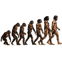 Генетическая общность древнего и современного человека: фокус на иммунную систему