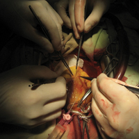 Прес-служба «Українського медичного часопису» за матеріалами http://www.moz.gov.ua/