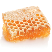 Ученые продемонстрировали противогрибковый потенциал специально разработанного меда