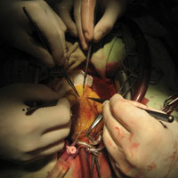 У Києві відбулася конференція «Шалімовські читання»