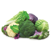 Разработан тест для определения веществ, эффективных при профилактике рака