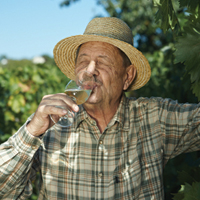 В Запорожье разработали протокол лечения при отравлениях сурогатами алкоголя
