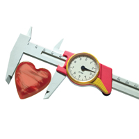 У Чернігові відбувся майстер-клас із лікування миготливої аритмії