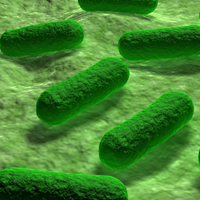 Науково-практична конференція «Актуальні питання інфекційної патології і тропічної медицини»