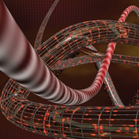 Новое понимание роли нейронов в процессах дифференциации кровеносных сосудов