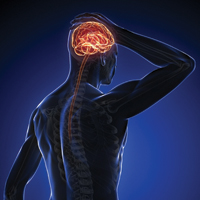 Дофамин влияет на мотивацию к движению