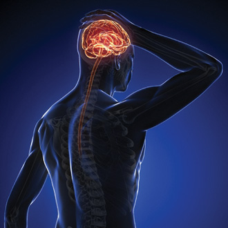 Представлено новое понимание патофизиологических основ болезни Александера