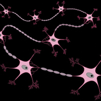 Предложен новый метод восстановительной терапии при болезни Паркинсона
